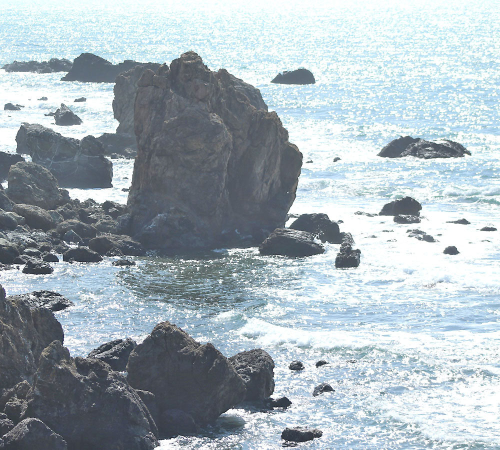 Dove andare al mare a Livorno